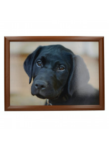 Creative Tops Labrador Laptray