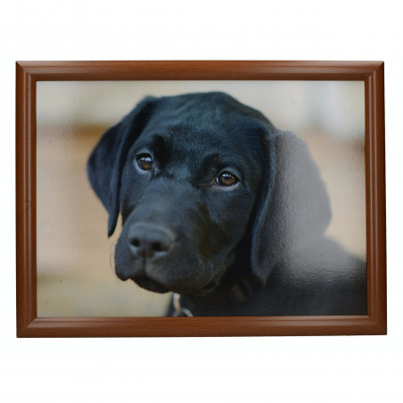 Creative Tops Labrador Laptray