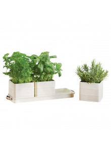 Living Nostalgia Antique Cream Herb Pots with Tray