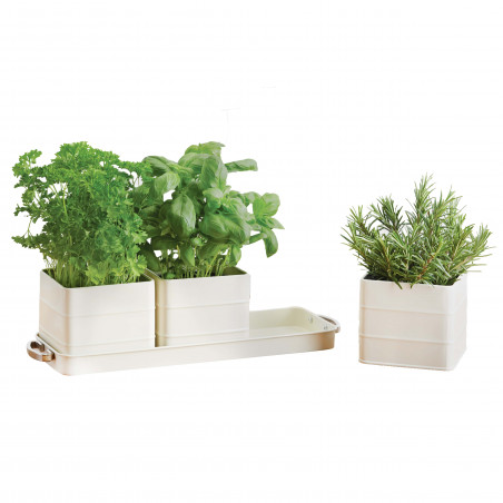 Living Nostalgia Antique Cream Herb Pots with Tray