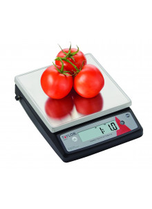 Taylor Stainless Steel Digital Portion Control 10KG Kitchen Scale