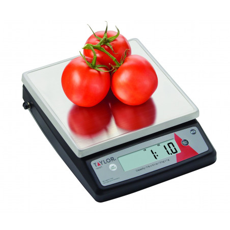 Taylor Stainless Steel Digital Portion Control 10KG Kitchen Scale