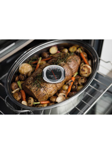 Taylor Pro Stainless Steel Leave-In Meat Thermometer