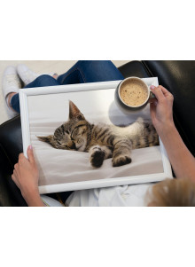 Creative Tops Sleeping Kitten Laptray