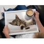 Creative Tops Sleeping Kitten Laptray