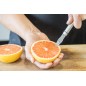 KitchenCraft Oval Handled Stainless Steel Grapefruit Knife