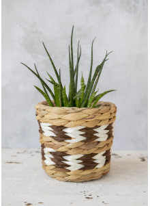 KitchenCraft Water Hyacinth Planter with Chevron Design