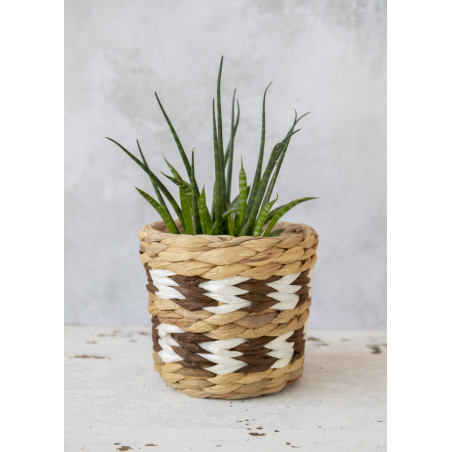 KitchenCraft Water Hyacinth Planter with Chevron Design