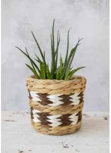 KitchenCraft Set of 2 Water Hyacinth Planters with Chevron Design