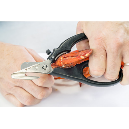 MasterClass Seafood Shears