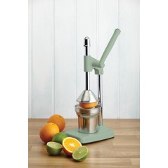 Living Nostalgia Sage Green Heavy Duty Juicer