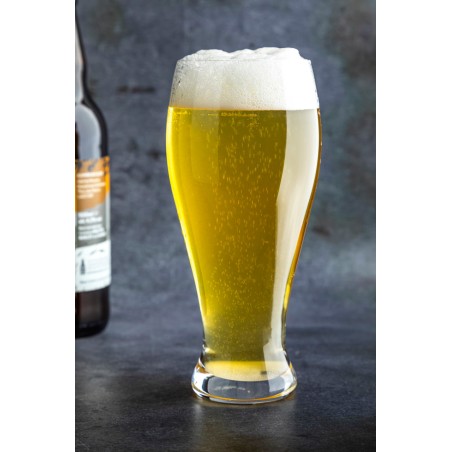 Mikasa Hospitality Hops Beer Pint Glass, 500 ml