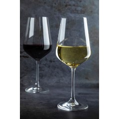 Mikasa Hospitality Vine White Wine Glass, 300 ml